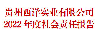 【九州体育】（中国）股份有限公司 2022年度社会责任报告